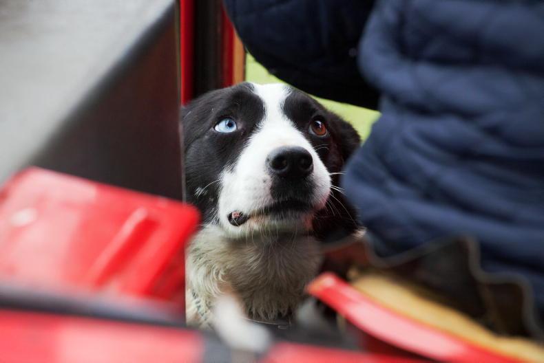 Weekend weather: cold and mainly dry, with frost to begin 