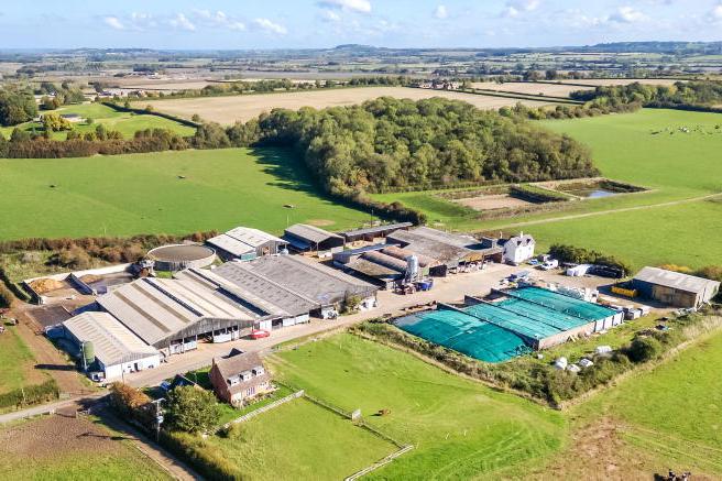 In pictures: potential dairy investment on the market in UK