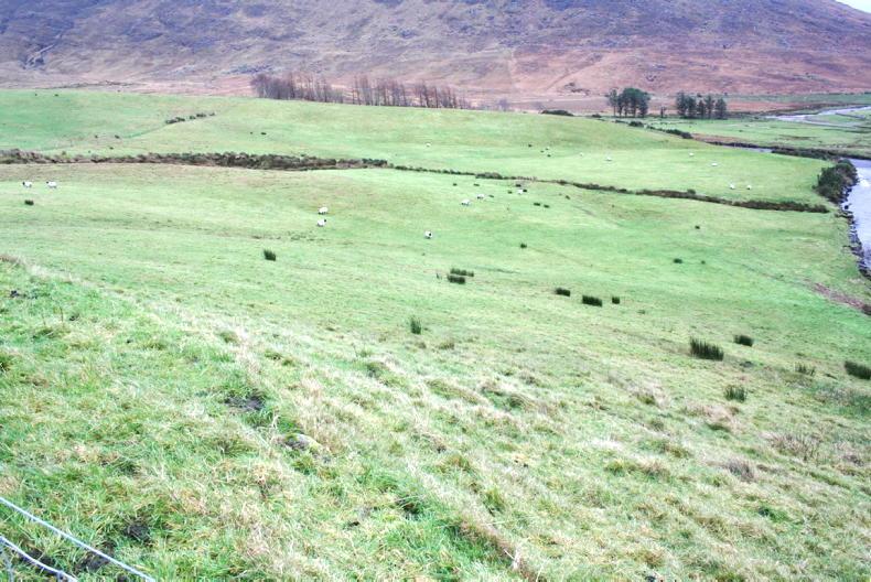 Farmers have joined the 'quiet quitting' trend