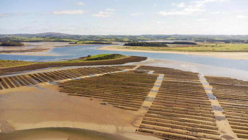 Public meeting planned over proposed 750ac oyster farms in Donegal