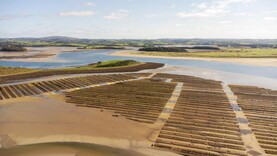 Public meeting planned over proposed 750ac oyster farms in Donegal