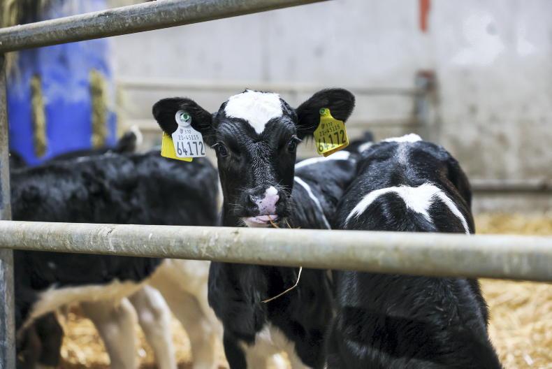 ICBF urging regular posting of samples to avoid delays