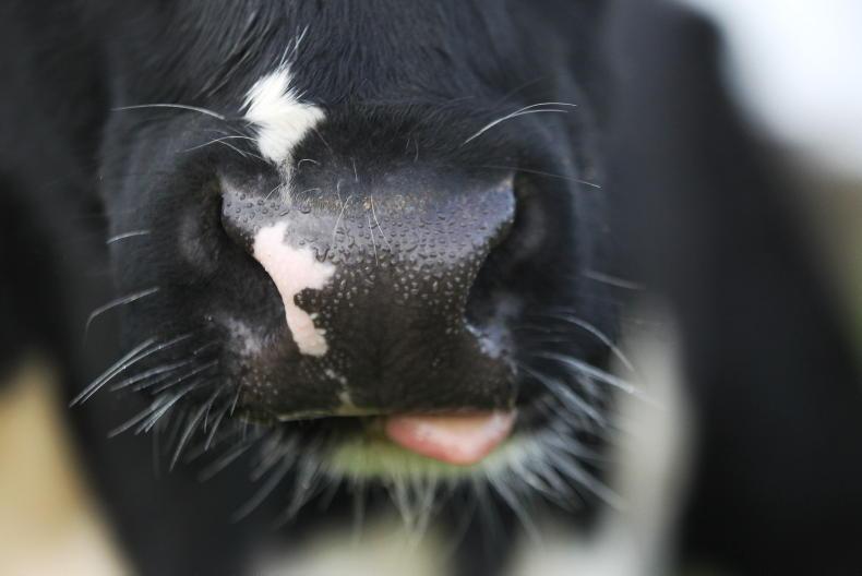 Agri jobs: farm partnership opportunities in Scotland