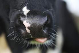 Agri jobs: farm partnership opportunities in Scotland