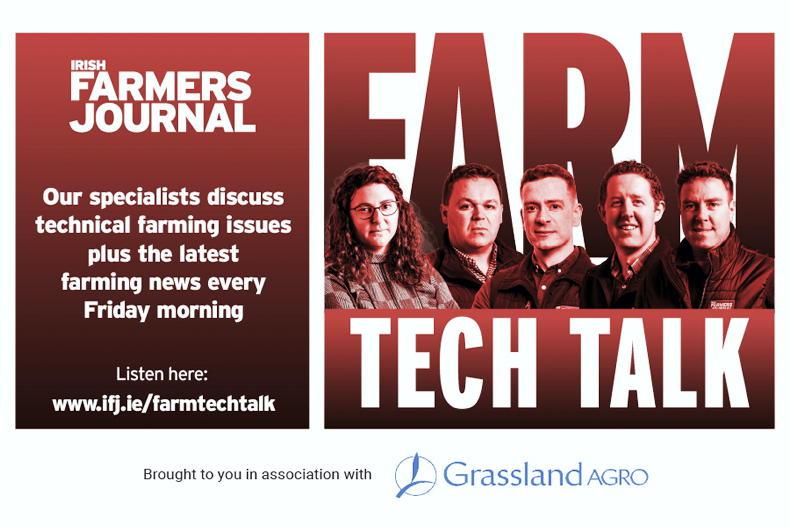 Farm Tech Talk: calf trade, Mercosur safeguards and wool insulation  