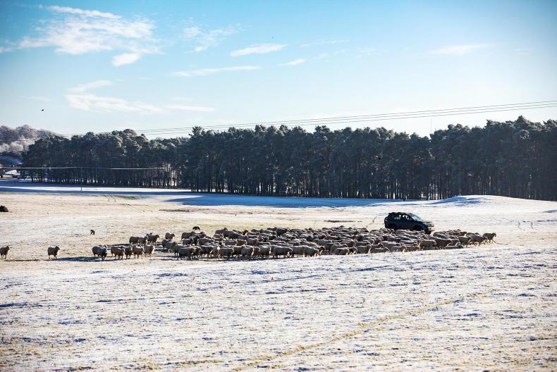 Temperatures set to drop to -3°C on Friday night