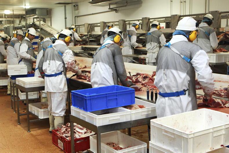 Potential redundancies at ABP Waterford as cattle supplies fall