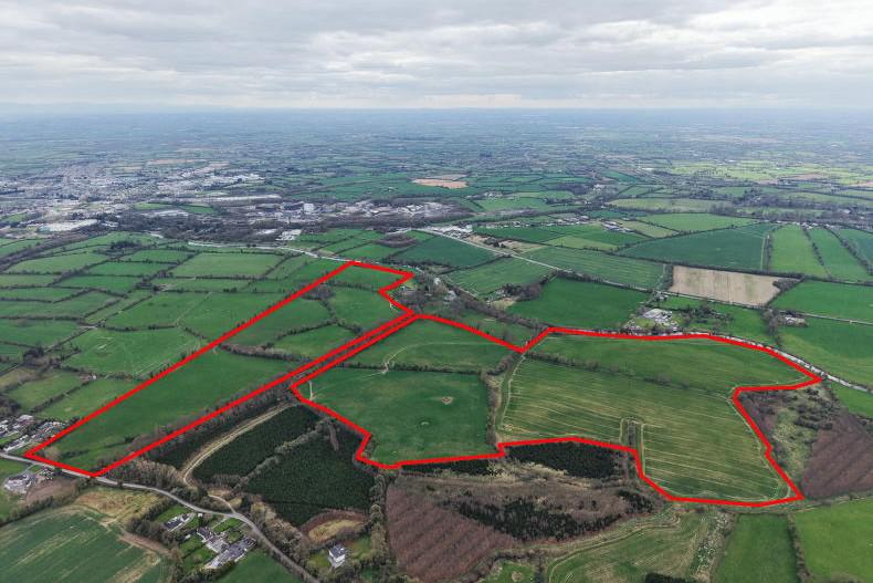 Scarce leasing prospects amid major demand in Meath