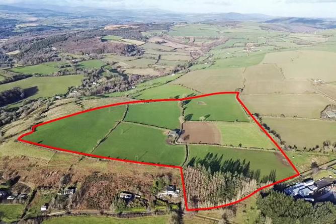 Auction action set to heat up in sunny southeast