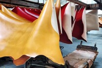 Chinese market reopens for Irish livestock hides