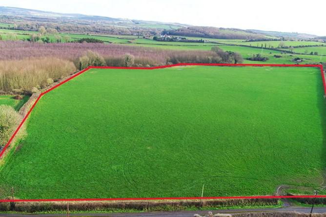 Prime Premier County land has ‘flexible options’