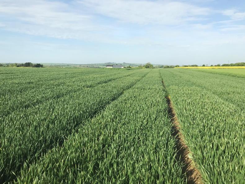 Right rate and timing is the key on crops