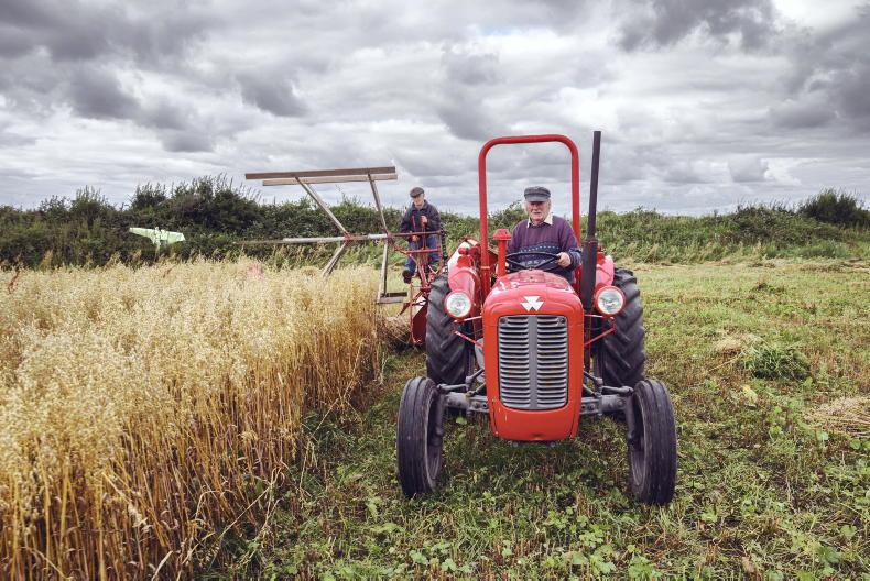 Photographer wins prestigious national press award with agricultural video