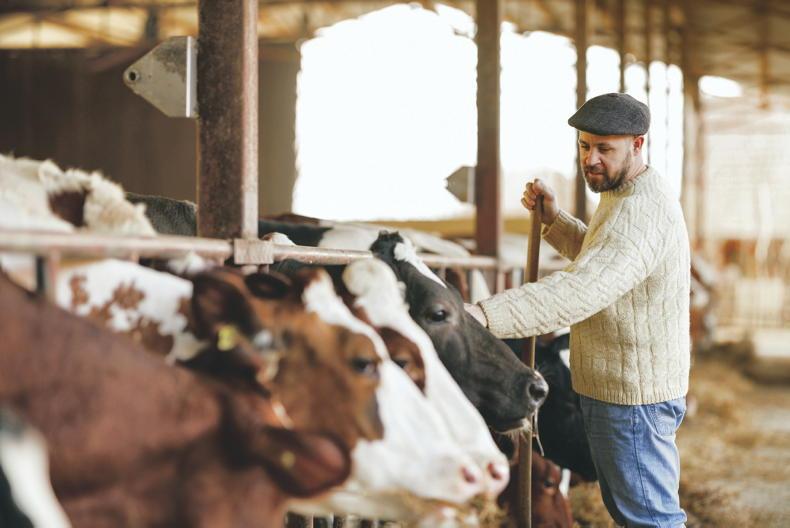 Money Mentor: what supports are there for young dairy farmers?