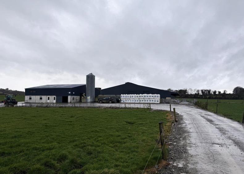 From a suckler herd to 400 milking cows for Offaly family