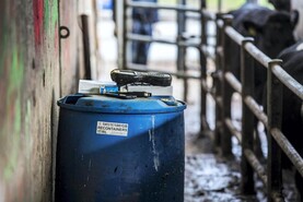 Farmers are pessimistic about TB eradication progress - study