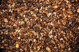 Proposal for native grain use in Bord Bia schemes drafted by IFA