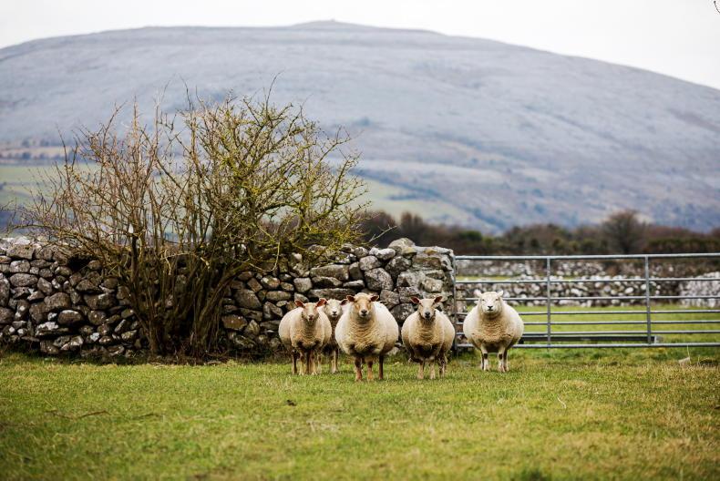 TII role in rural planning decisions to be reviewed