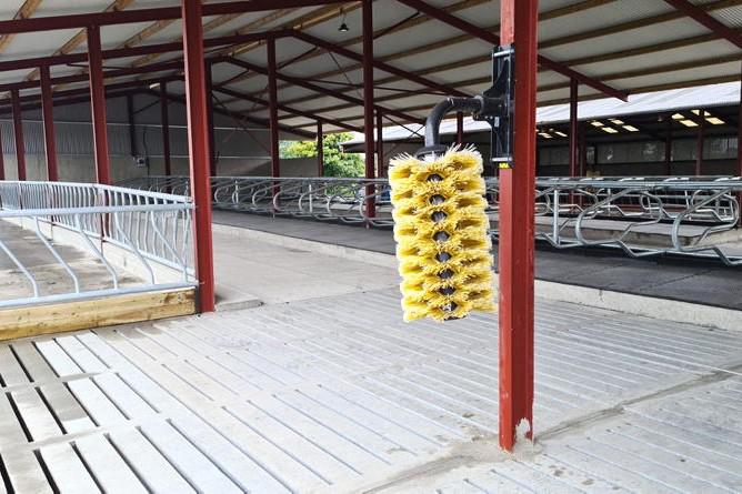 Urgent overhaul of TAMS application process needed, says leading planner