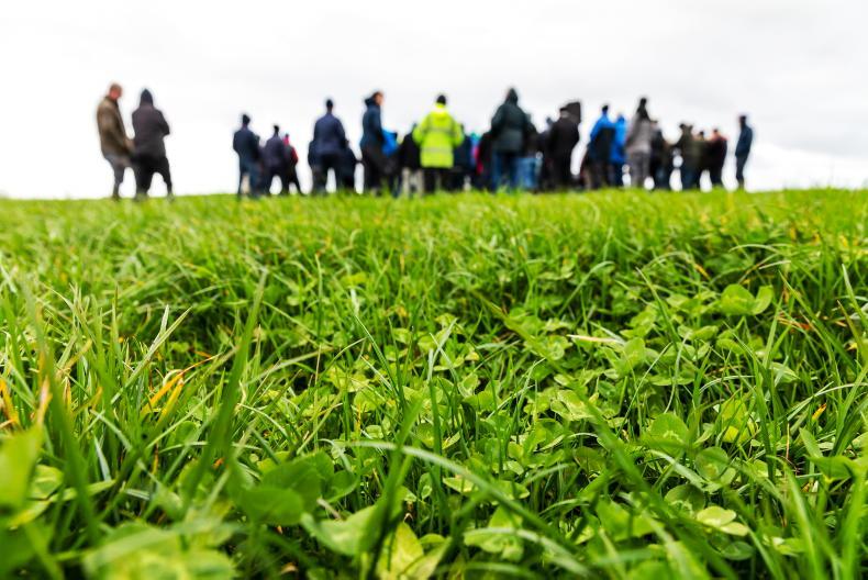 Dairy Management: how much meal to feed cows this February?