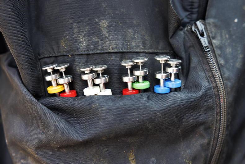 'Big three' reach an agreement on IP calf sales