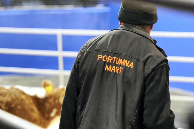 Stratospheric start to 2026 calf trade