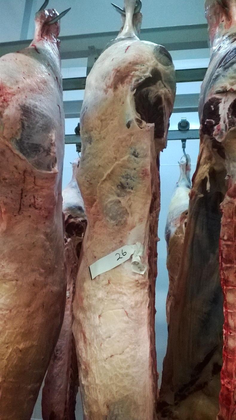 Editorial: processor reviews a concern