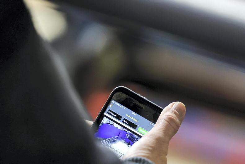 Live exports fall by 53%  year on year                                     