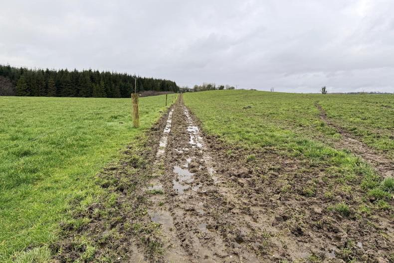 Weekend weather gave respite to farmers