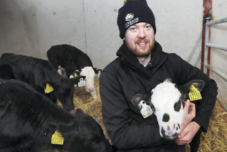 My Farming Week: James Patrick Ryan, Kilcolman, Feenagh, Co Limerick