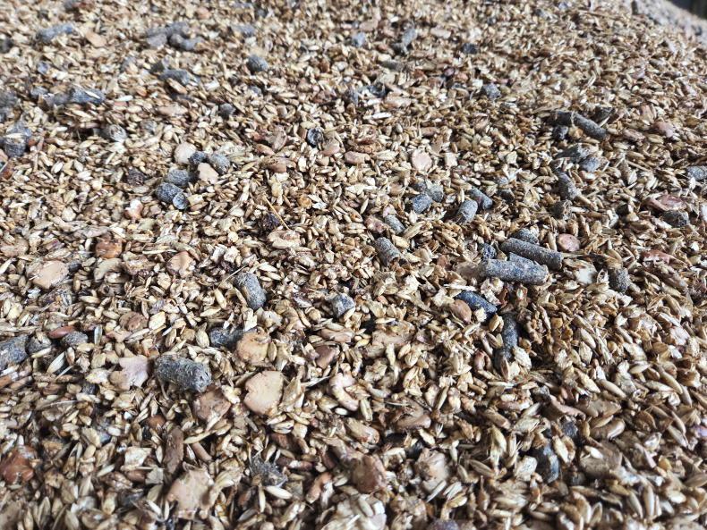 Editorial: discussion needed on native grain