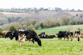 The Grass Week: wet weather continues to hamper grazing efforts