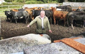 Bluetongue brings 60% of exporter's business to a halt