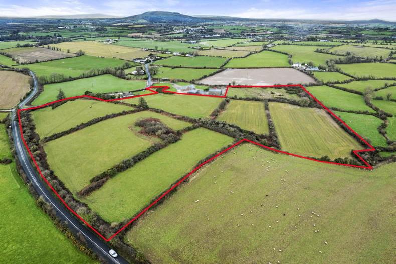Wexford land on 40ac offers ‘superb opportunity’ for buyer