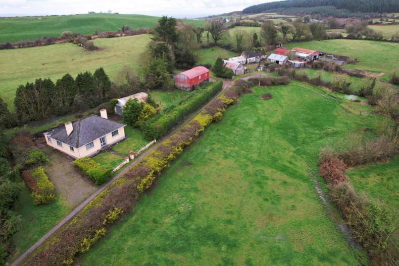 Pair of prime Golden Vale farms for auction on 77.2ac