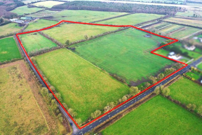 Lough Boora 24ac organic holding up for sale