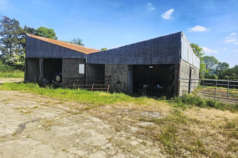 Huge interest in Knocknagree farm with ample road frontage