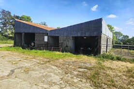 Huge interest in Knocknagree farm with ample road frontage