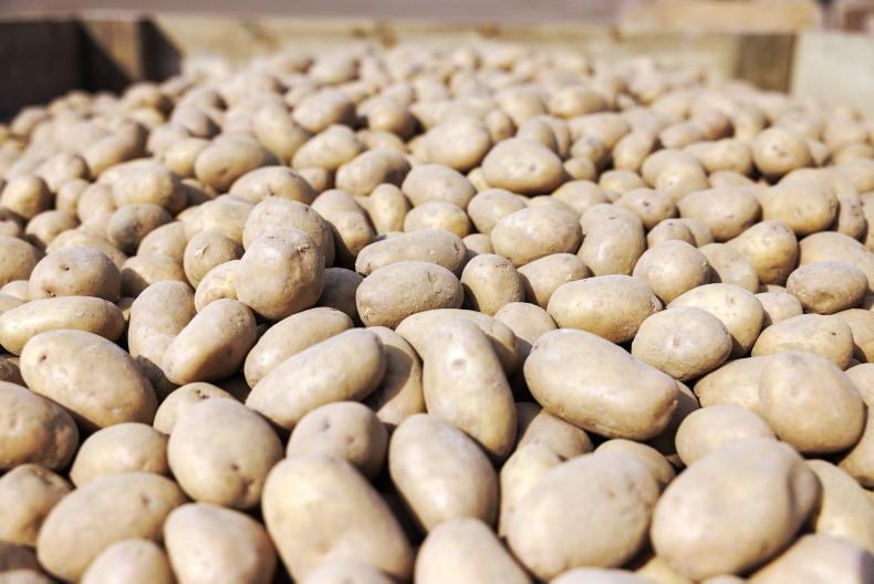 Meade Potato Company fined €150,000 for serious workplace incident 