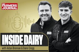 Inside Dairy: the new dairy podcast from the Irish Farmers Journal