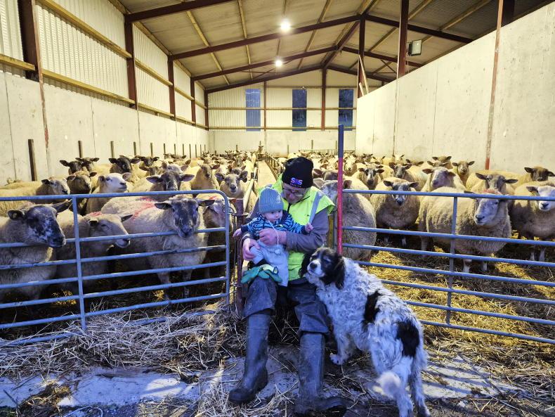 In pictures: our favourite readers' photos of the week