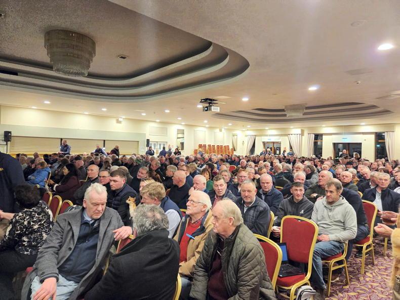 Gorman vows that IFA will protest for ‘as long as it takes’ to remove Murrin 