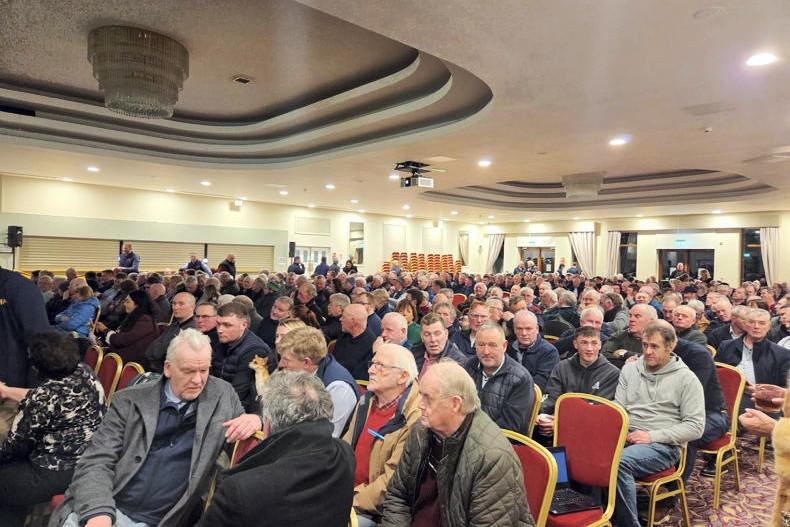 Gorman vows that IFA will protest for ‘as long as it takes’ to remove Murrin 