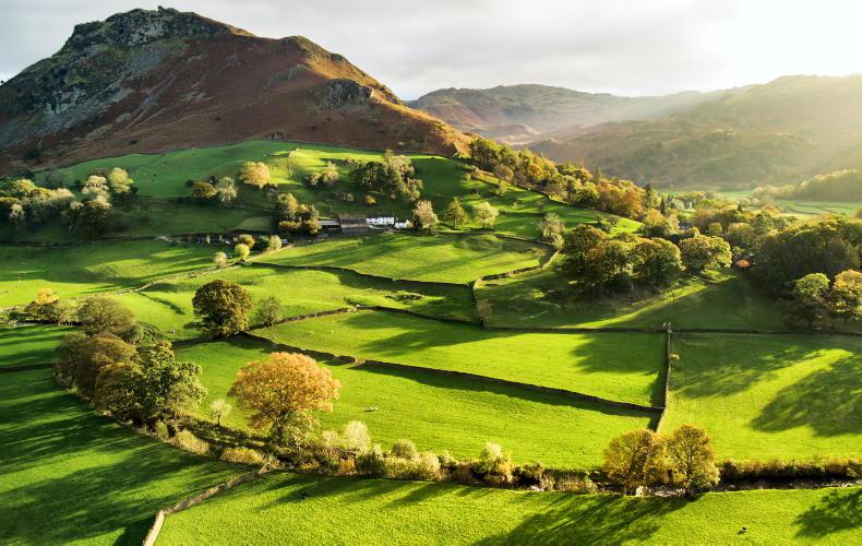 Bord Bia: Clarity and context for Irish farmers