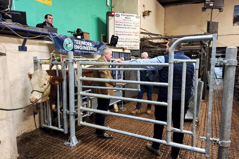 Farm safety and animal health learnings from Carrigallen mart event