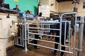Farm safety and animal health learnings from Carrigallen mart event