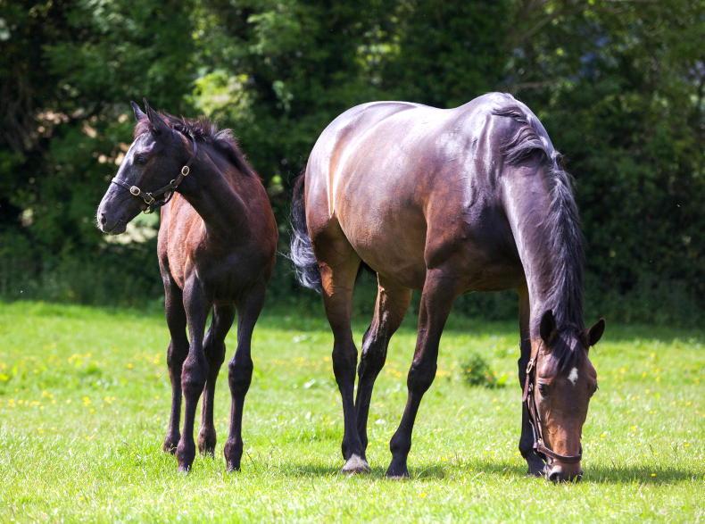 Is there a gentler way we can  reduce stress while weaning?