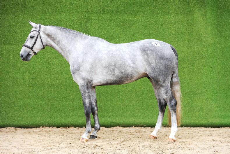 Demand and direction for the upcoming sales season   