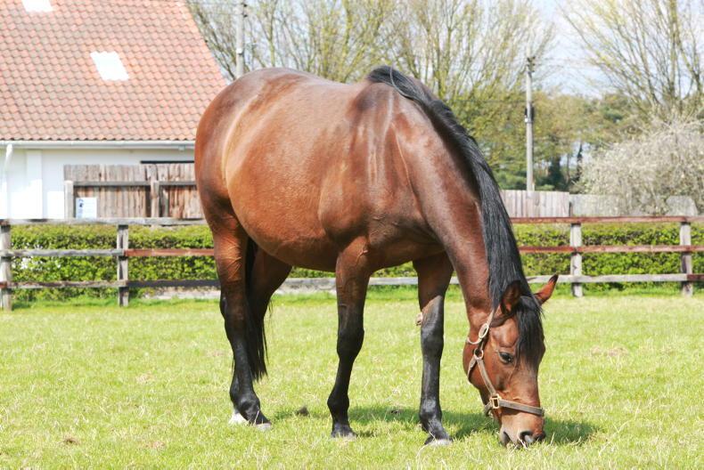 Do you really need Regumate?  