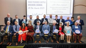 Pedigree All-Star Awards to take place in Portlaoise